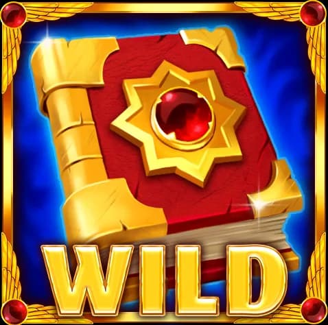 O livro - Wild e Scatter